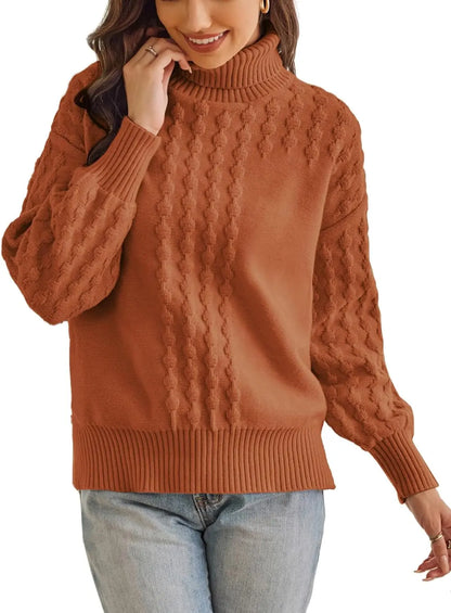 Textured Turtle Neck Pullover Sweater for Women