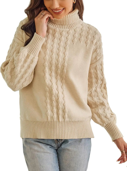 Textured Turtle Neck Pullover Sweater for Women